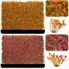 QIAOH Artificial Boxwood Hedge Mat with Cable Ties 2PCS, Grass Wall Backdrop Artificial, Artificial Fence Wall, Privacy Fence Screen Greenery Panel Outdoor Decor, Garden view 3