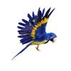 Easnea VARIOUS Decoration Wire Christmas Model Artificial Birds Lifelike Feathered Tree Craft - Parrot Blue, as described view 1