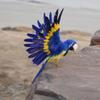 Easnea VARIOUS Decoration Wire Christmas Model Artificial Birds Lifelike Feathered Tree Craft - Parrot Blue, as described view 3