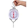 Spring Hanging Dial Scale,440lbs Industrial Hanging Scale,Spring Mechanical Hanging Scale for Kitchen Fishing,Mechanical Luggage Scale view 3