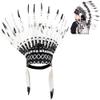 HEEPDD Feather Headdress, Black, Kids and Adult Costume Accessory for Party, Photo Props view 1
