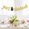 Belrew Just Divorced Banner, Goodbye Party Decor, Game Over Party, Divorce Party Decoration Supplies, Glittery Gold view 3