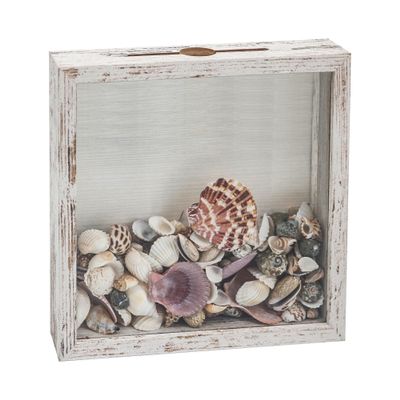 FramePro Small Shadow Box Seashell Collection White 8x8 Top Loading Display Case Frame with Slot, Movie Travel Sporting Events Concert Ticket Stubs Drink Beer Caps Memory Keepsake Box