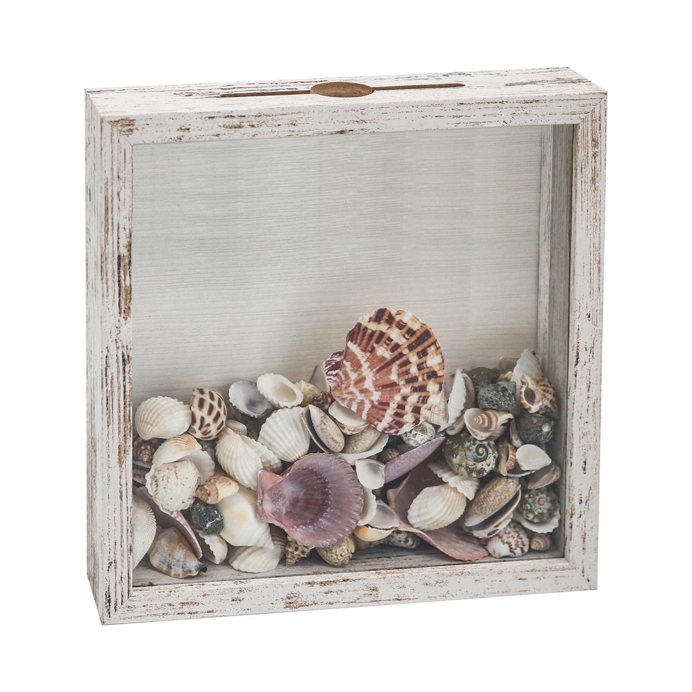 FramePro Small Shadow Box Seashell Collection White 8x8 Top Loading Display Case Frame with Slot, Movie Travel Sporting Events Concert Ticket Stubs Drink Beer Caps Memory Keepsake Box