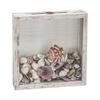 FramePro Small Shadow Box Seashell Collection White 8x8 Top Loading Display Case Frame with Slot, Movie Travel Sporting Events Concert Ticket Stubs Drink Beer Caps Memory Keepsake Box view 1