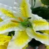 DIY Cemetery Silk Flower Bouquet Yellow Carnations White Lilies for Grave-site Present in Remembrance of Loved Ones Or Home Garden - view 4