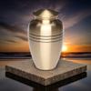 Adult Cremation Urn for Human Ashes - Brass Cremation Urn with Three Rings Design - 200 cu. in. view 1