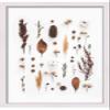 11x16 White Shadow Box Frame - Shadow Box Frame Interior Size 11x16 by 1 Inches Deep - White Frame is Made to Display Items Up to 1 Inches Deep Includes Shatter Resistant Acrylic, Backing, Hardware view 4
