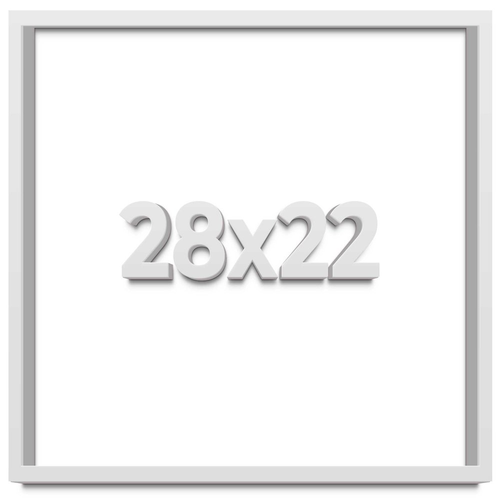 28x22 White Shadow Box Frame - Shadow Box Frame Interior Size 28x22 by 1 Inches Deep - White Frame is Made to Display Items Up to 1 Inches Deep Includes Shatter Resistant Acrylic, Backing, Hardware