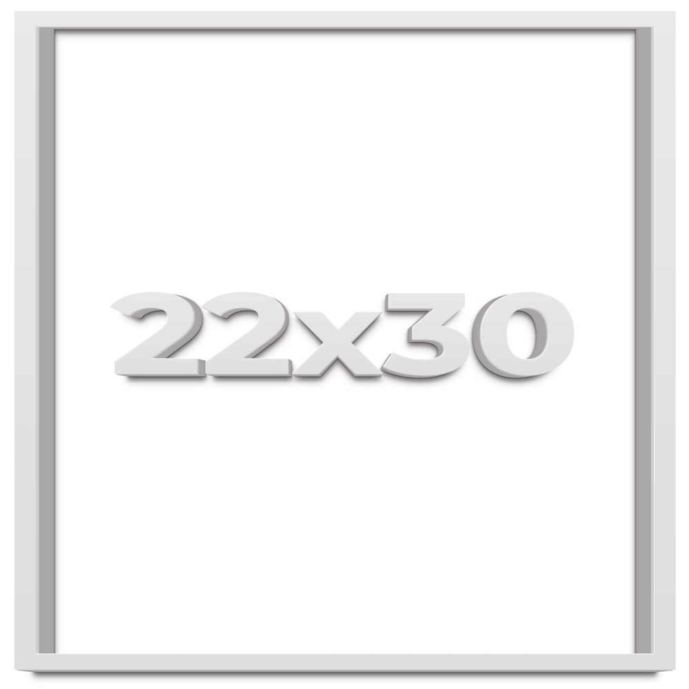 22x30 White Shadow Box Frame - Shadow Box Frame Interior Size 22x30 by 1 Inches Deep - White Frame is Made to Display Items Up to 1 Inches Deep Includes Shatter Resistant Acrylic, Backing, Hardware