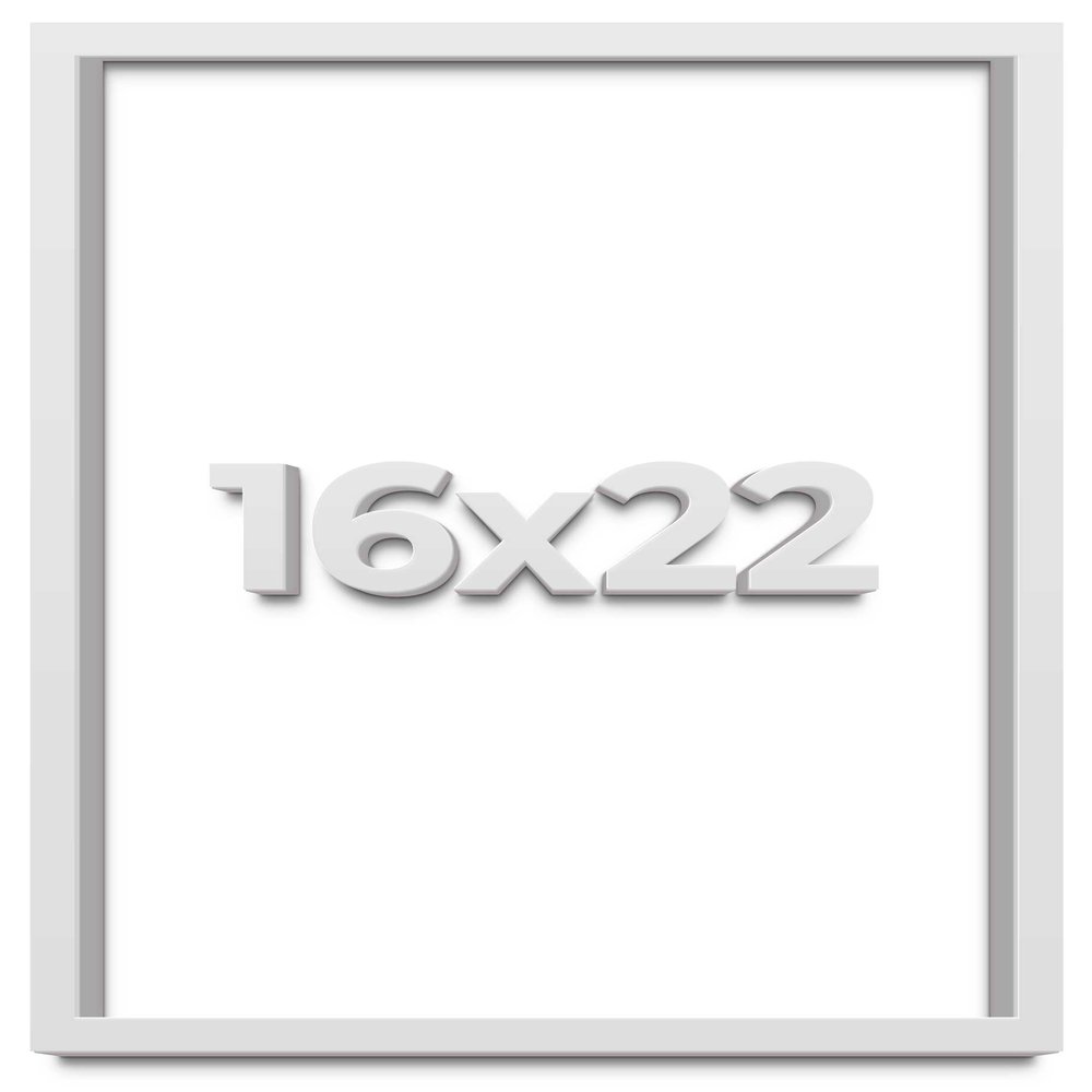 16x22 White Shadow Box Frame - Shadow Box Frame Interior Size 16x22 by 1 Inches Deep - White Frame is Made to Display Items Up to 1 Inches Deep Includes Shatter Resistant Acrylic, Backing, Hardware