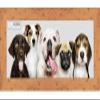 10x30 Shabby Chic/Farmhouse Orange Picture Panoramic Frame - Picture Frame Includes UV Acrylic, Backing, & Hanging Hardware 10" x 30" Panoramic Poster Frame view 3
