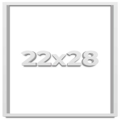 22x28 White Shadow Box Frame - Shadow Box Frame Interior Size 22x28 by 1 Inches Deep - White Frame is Made to Display Items Up to 1 Inches Deep Includes Shatter Resistant Acrylic, Backing, Hardware