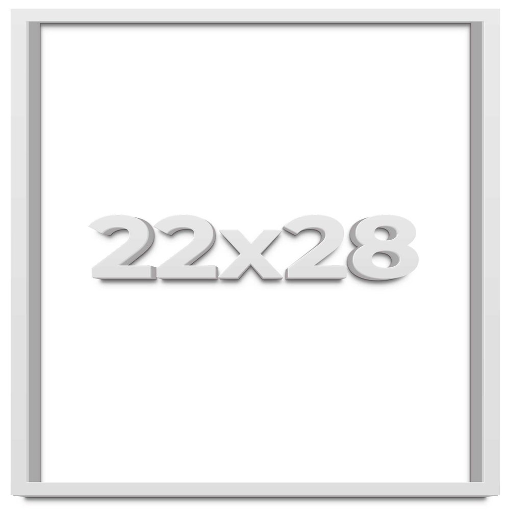 22x28 White Shadow Box Frame - Shadow Box Frame Interior Size 22x28 by 1 Inches Deep - White Frame is Made to Display Items Up to 1 Inches Deep Includes Shatter Resistant Acrylic, Backing, Hardware