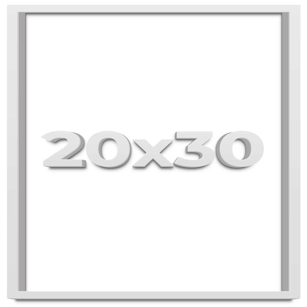 20x30 White Shadow Box Frame - Shadow Box Frame Interior Size 20x30 by 1 Inches Deep - White Frame is Made to Display Items Up to 1 Inches Deep Includes Shatter Resistant Acrylic, Backing, Hardware