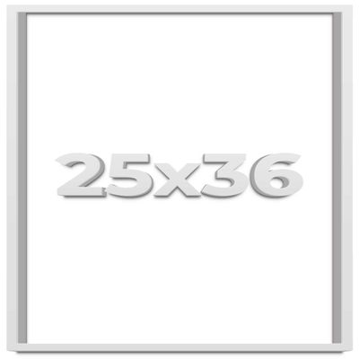 25x36 White Shadow Box Frame - Shadow Box Frame Interior Size 25x36 by 1 Inches Deep - White Frame is Made to Display Items Up to 1 Inches Deep Includes Shatter Resistant Acrylic, Backing, Hardware