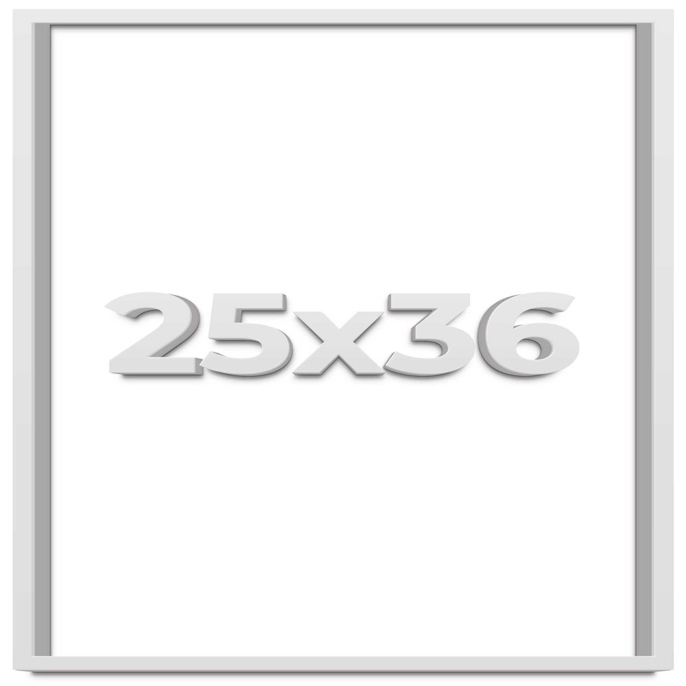25x36 White Shadow Box Frame - Shadow Box Frame Interior Size 25x36 by 1 Inches Deep - White Frame is Made to Display Items Up to 1 Inches Deep Includes Shatter Resistant Acrylic, Backing, Hardware