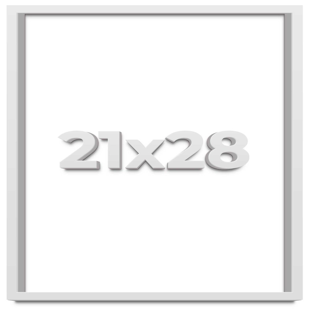 21x28 White Shadow Box Frame - Shadow Box Frame Interior Size 21x28 by 1 Inches Deep - White Frame is Made to Display Items Up to 1 Inches Deep Includes Shatter Resistant Acrylic, Backing, Hardware