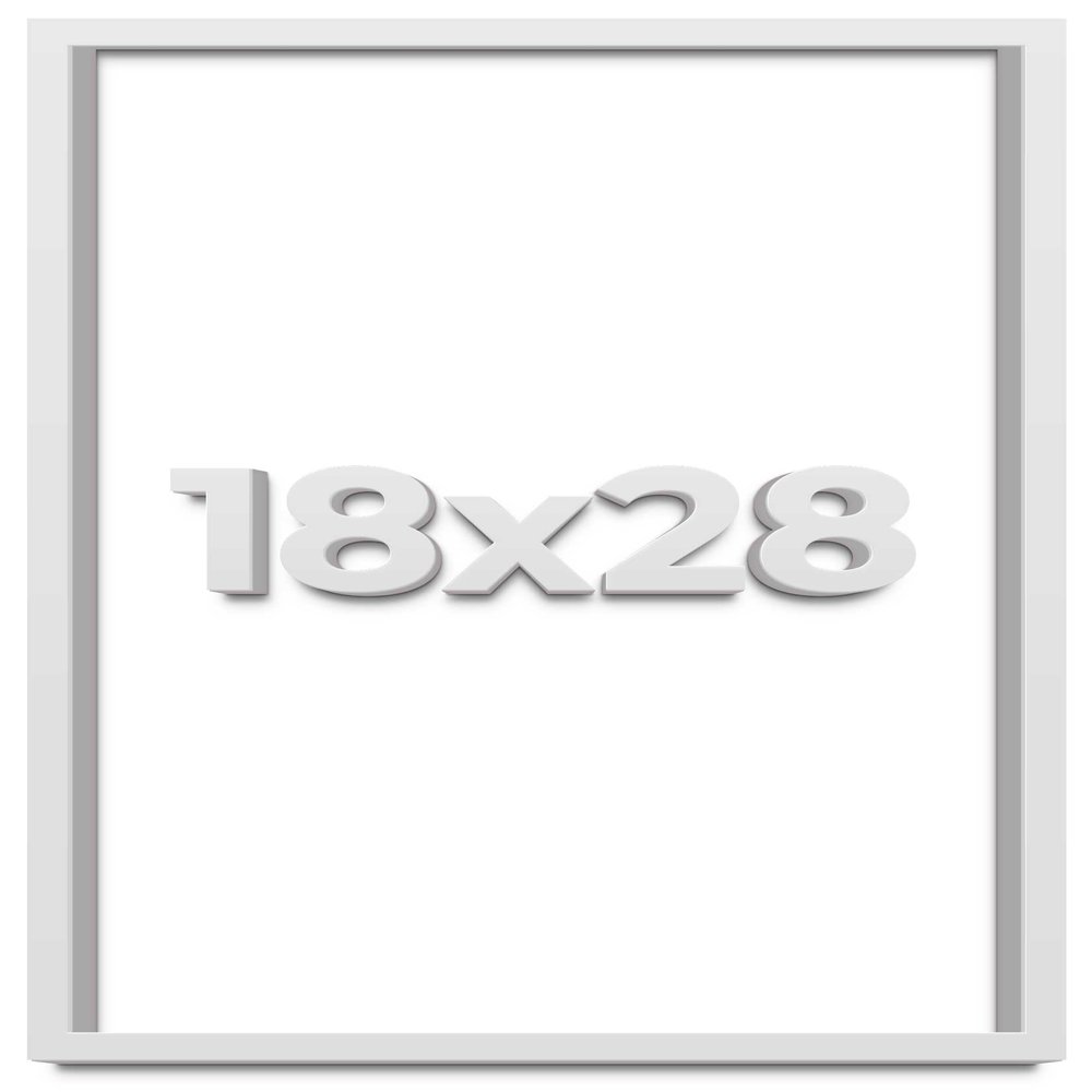 28x18 White Shadow Box Frame - Shadow Box Frame Interior Size 28x18 by 1 Inches Deep - White Frame is Made to Display Items Up to 1 Inches Deep Includes Shatter Resistant Acrylic, Backing, Hardware