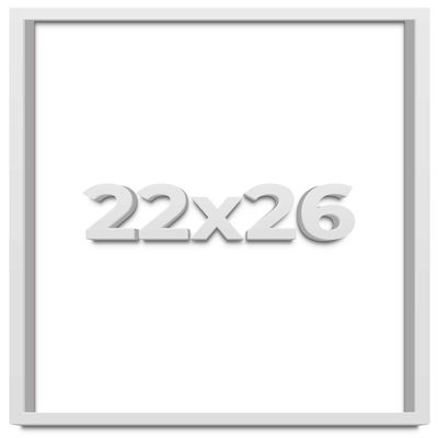 22x26 White Shadow Box Frame - Shadow Box Frame Interior Size 22x26 by 1 Inches Deep - White Frame is Made to Display Items Up to 1 Inches Deep Includes Shatter Resistant Acrylic, Backing, Hardware