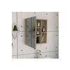 FM FURNITURE Lincoln Mirrored Medicine Cabinet with 3 Inner Shelves and 2 Open Shelves, Light Oak view 4
