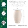 Belleek Field of Shamrocks Vase - White Flower Vase Handcrafted Fine Parian China Irish Decor, 6.3" W x 10" H view 2