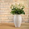 Belleek Field of Shamrocks Vase - White Flower Vase Handcrafted Fine Parian China Irish Decor, 6.3" W x 10" H view 4