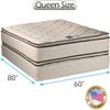 DS Solutions USA Coil Comfort Medium Firm Two-Sided PillowTop Queen Mattress Set with Bed Frame Included - Sleep System with Enhanced Cushion Support, Orthopedic, Longlasting Comfort view 2