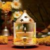 phareLamp Presents Brass Akhand Diya with Glass Cover and Designed Star Holes On Top (13 cm in Height) (Pack of 2) #Sr-851#Aport-851 view 3