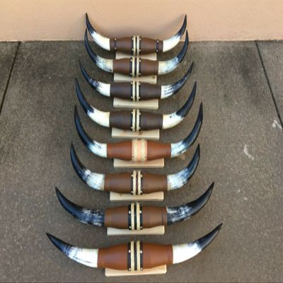 TruBlu Supply Real Mounted 27" inches - 32" Steer Cow Bull Texas Long Horns (One Set Only) Longhorn (27 inch - 32 inch)
