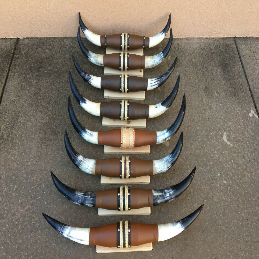TruBlu Supply Real Mounted 27" inches - 32" Steer Cow Bull Texas Long Horns (One Set Only) Longhorn (27 inch - 32 inch)