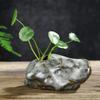 ShengXia Unique Small Ceramic Flower Vases - Table Mini Floral Vase - Micro Landscape Vases Ornament - Suitable for Home Office Desktop Decoration Gift #5-2pcs view 4