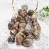 Crocon 1LB natural fire agate tumbled stones and Crystals bulk 2000+ Carats Natural Crystal Kit for Reiki Healing Crystals Polished Tumble Stones Chakra Reiki Balancing Gift Home Decor DIY craft view 3