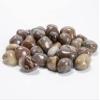 Crocon 1LB natural fire agate tumbled stones and Crystals bulk 2000+ Carats Natural Crystal Kit for Reiki Healing Crystals Polished Tumble Stones Chakra Reiki Balancing Gift Home Decor DIY craft view 4