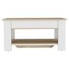 Tuhome Austin Storage Table Engineered Wood Entryway Benches in Multi-Color view 1
