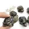 WGPHDW Meditation Home Decor, 1PC Natural Glaucophane Tortoise Handmade Quartz Carved Turtle Animals Polished Healing Decoraction Meditation Polished Decor Stone Gifts,Natural Crystal view 4