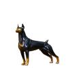 Brass Doberman Pinscher Miniatures Figurines Entrance Desk Ornaments,Copper Pet Animal Dog Home Decor Crafts,Study Office Sculpture Decoration Gifts view 1