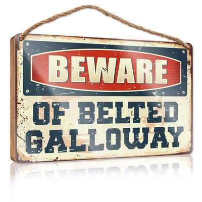 Wooden Welcome Beware of Belted Galloway Sign Hanging Wooden Plaque Decoration Round Welcome Sign ( Size : 20X30CM )