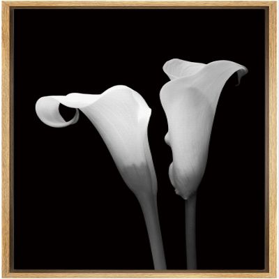 NWT Framed Canvas Print Wall Art Calla Lily Flower Duo Floral Plants Photography Modern Art Glam Closeup Dramatic Cool Black and White for Living Room, Bedroom, Office - 16"x24" Natural