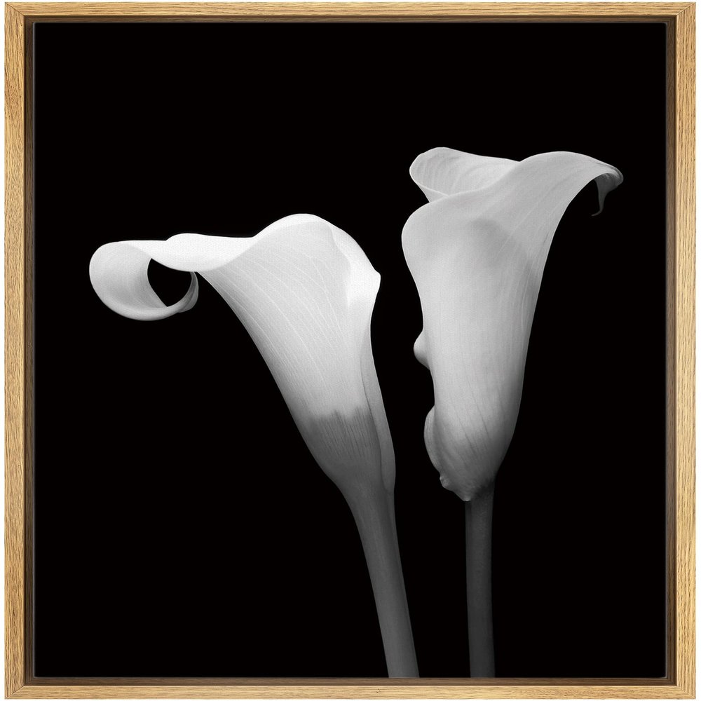 NWT Framed Canvas Print Wall Art Calla Lily Flower Duo Floral Plants Photography Modern Art Glam Closeup Dramatic Cool Black and White for Living Room, Bedroom, Office - 16"x24" Natural