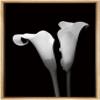 NWT Framed Canvas Print Wall Art Calla Lily Flower Duo Floral Plants Photography Modern Art Glam Closeup Dramatic Cool Black and White for Living Room, Bedroom, Office - 16"x24" Natural view 1