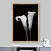 NWT Framed Canvas Print Wall Art Calla Lily Flower Duo Floral Plants Photography Modern Art Glam Closeup Dramatic Cool Black and White for Living Room, Bedroom, Office - 16"x24" Natural view 2