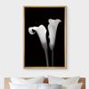 NWT Framed Canvas Print Wall Art Calla Lily Flower Duo Floral Plants Photography Modern Art Glam Closeup Dramatic Cool Black and White for Living Room, Bedroom, Office - 16"x24" Natural view 3