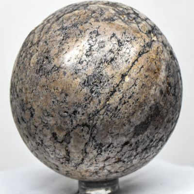2.6" 350g Dinosaur Fossilized Bone Carved into Sphere Polished Natural Gemstone Fossil UV Reactive Collectibel Crystal Mineral Ball - Madagascar + Stand