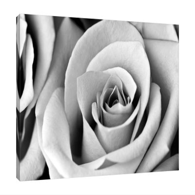Jaxson Rea "White Noise Rose 2" Gallery Wrapped Canvas by Tracey Telik, 32" x 24"