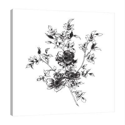 Jaxson Rea "Sketchbook Flowers on White II Gallery Wrapped Canvas by Wild Apple Portfolio, 24" x 30"