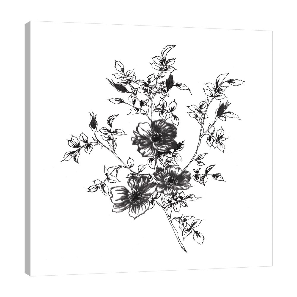 Jaxson Rea "Sketchbook Flowers on White II Gallery Wrapped Canvas by Wild Apple Portfolio, 24" x 30"