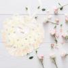 Sewroro Rose Ring Wedding Ring Pillow Romantic Lace Crystal Rose Heart Shape Ring Box Pillow Cushion Ring Bearer Pillow with Ribbon for Wedding Ceremony Supplies Gift Beige Jewelry Rings view 4