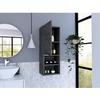 Medicine 32H Single Door Cabinet, 2 External Shelves, 2 Interior Shelves, Smokey Oak view 2