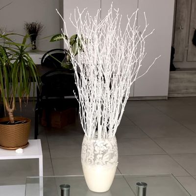 ECOVENIK 25 psc - Branches - 73 cm, Natural Birch Twigs, Pack of 20-25 Stems, Long for Floor vases, (White-Grey )
